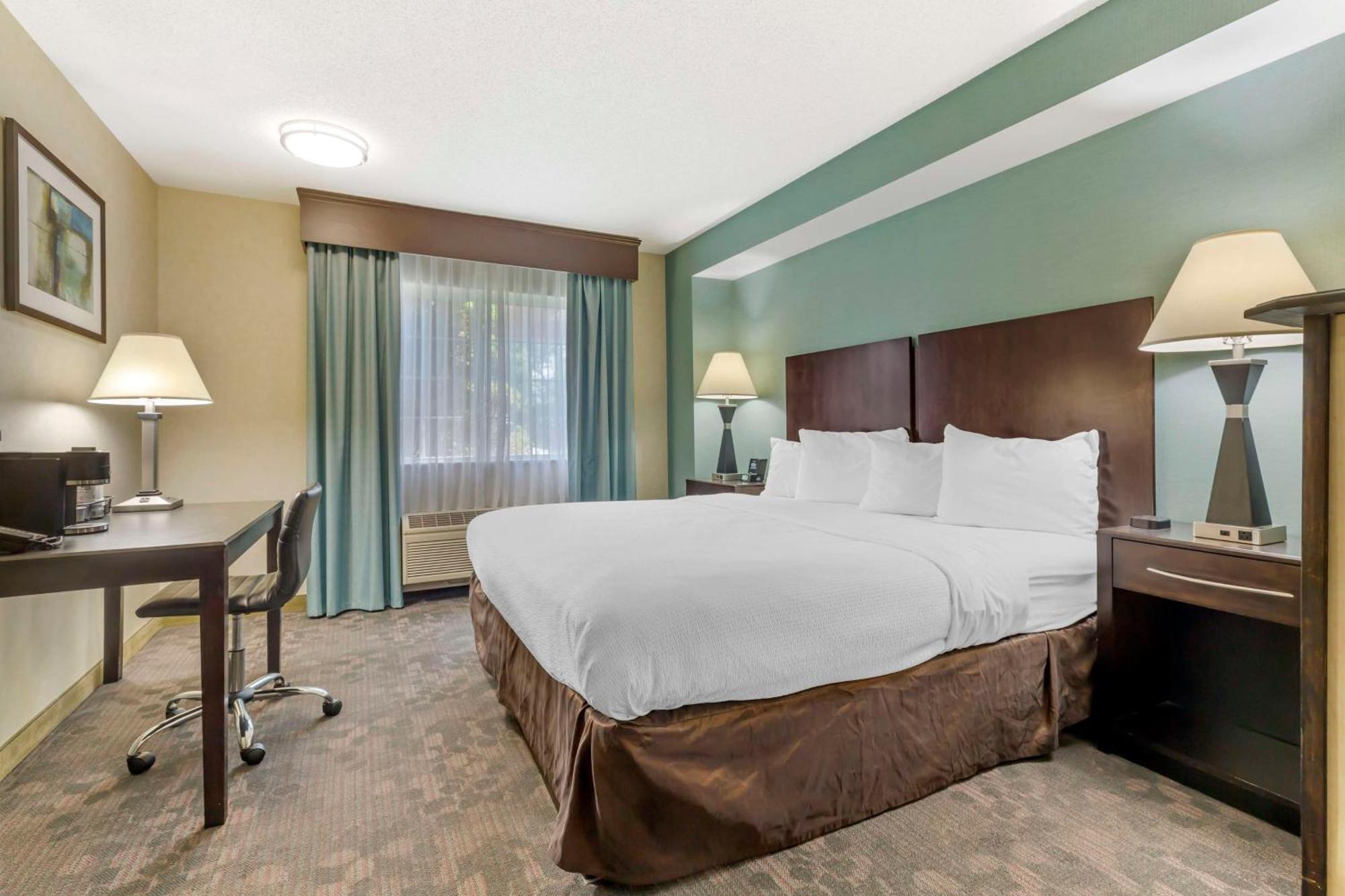Best Western Plus Berkshire Hills Inn & Suites Pittsfield Exteriör bild